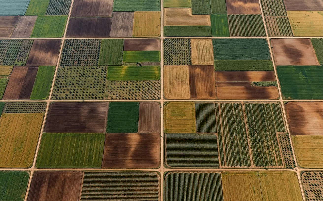 Tasaciones y valoraciones agrarias